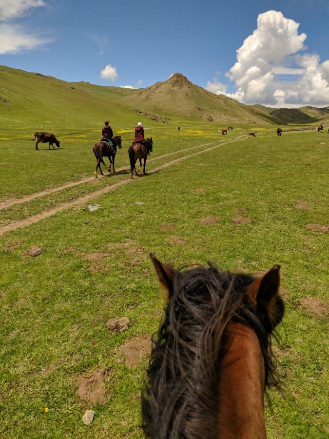 Horseback Holiday At Kyzart Village Dzhangyaryk Eksteriør billede